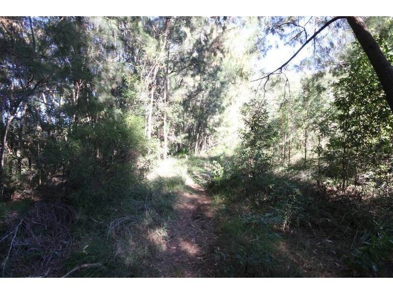 Beerwah QLD 4519