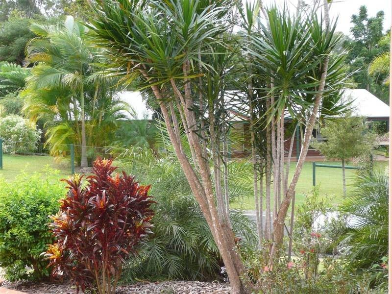 2 Julia Court, Glass House Mountains QLD 4518