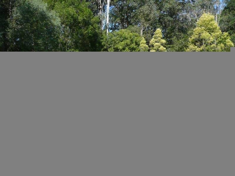 1038 Peachester Road, Peachester QLD 4519