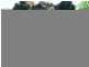 1038 Peachester Road, Peachester QLD 4519