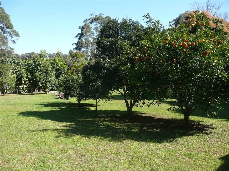 1038 Peachester Road, Peachester QLD 4519
