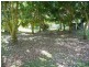 1038 Peachester Road, Peachester QLD 4519