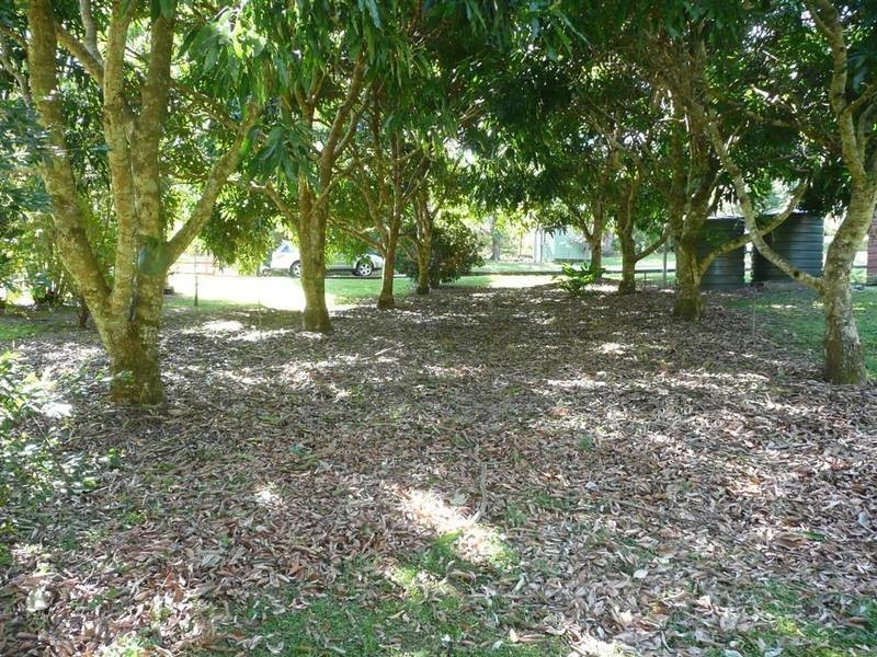 1038 Peachester Road, Peachester QLD 4519