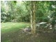 1038 Peachester Road, Peachester QLD 4519