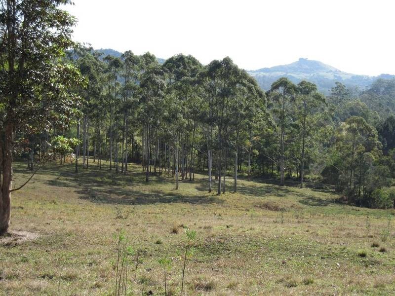 Peachester QLD 4519
