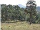 Peachester QLD 4519