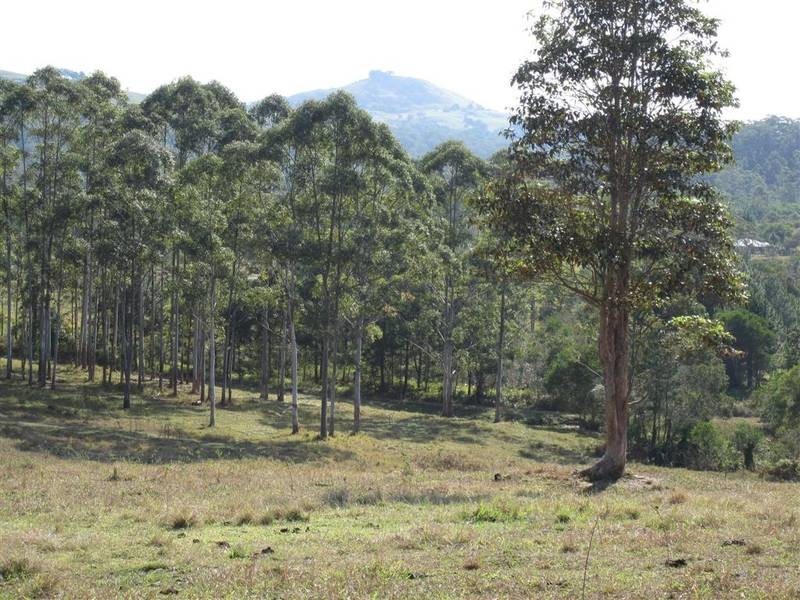 Peachester QLD 4519