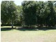 Beerwah QLD 4519