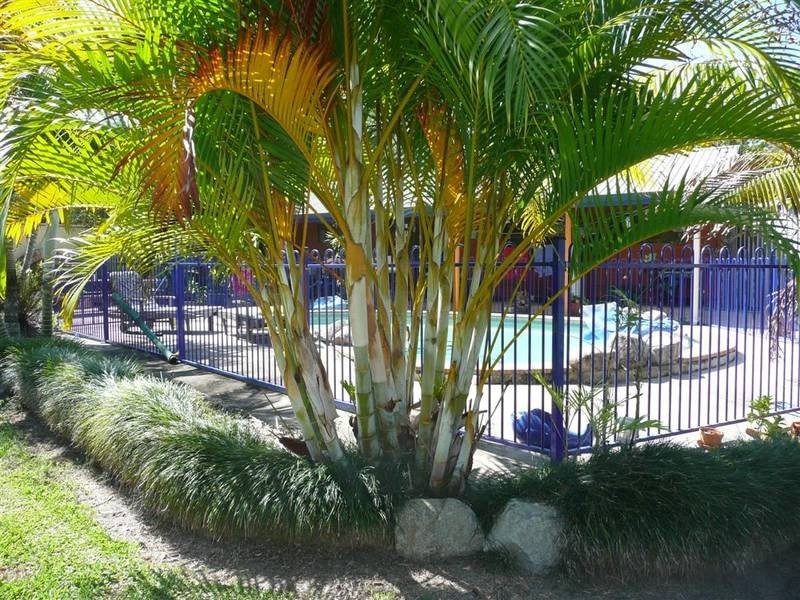 Landsborough QLD 4550