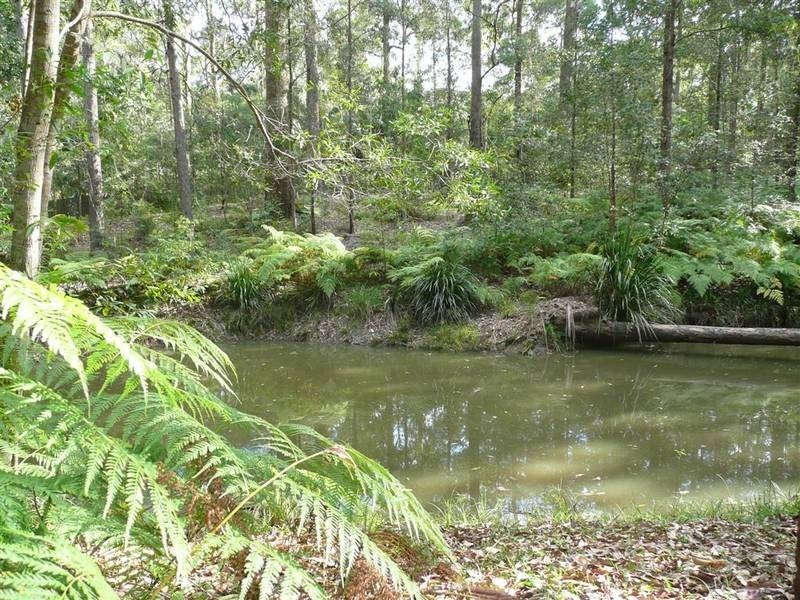 Mount Mellum QLD 4550