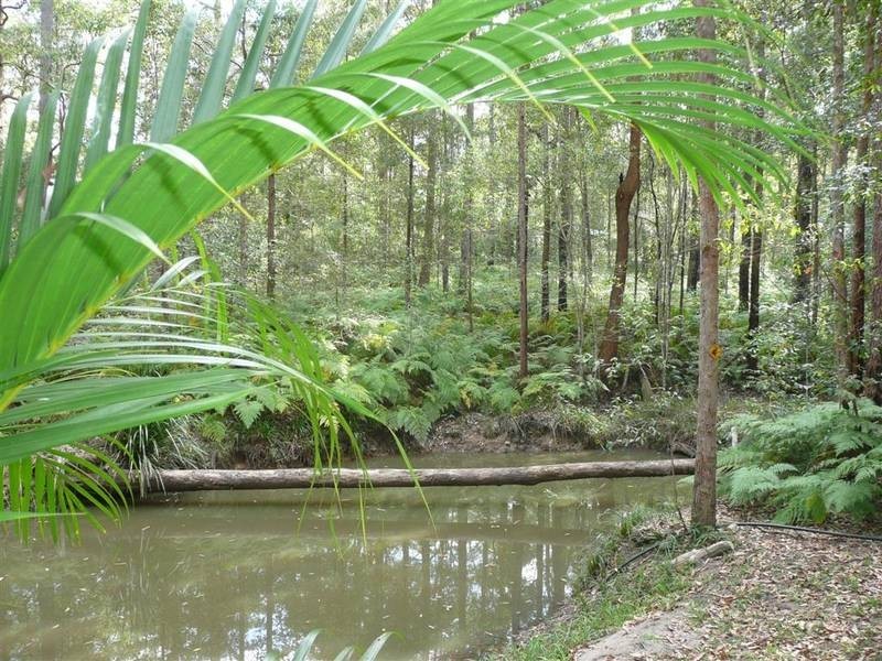 Mount Mellum QLD 4550