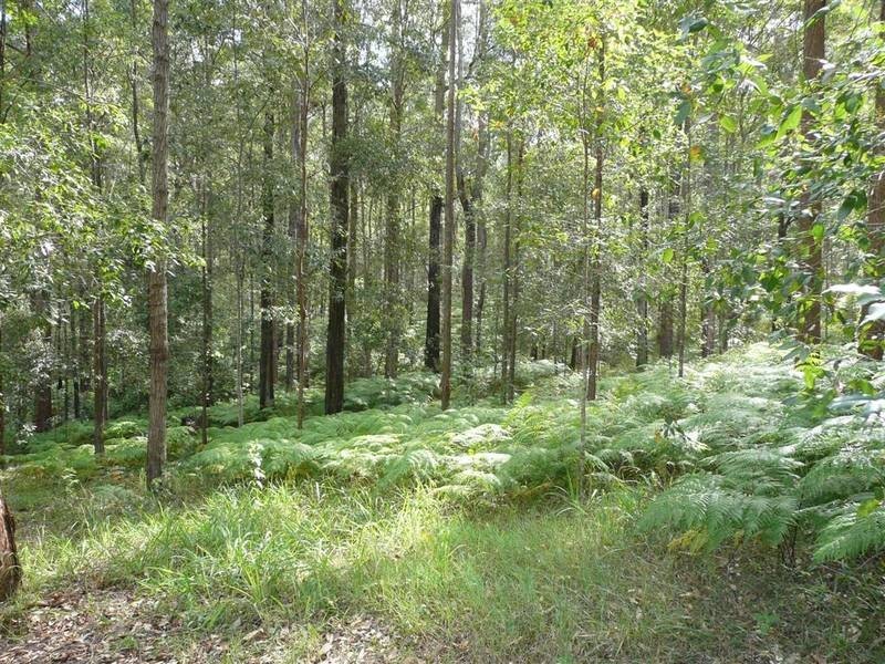 Mount Mellum QLD 4550