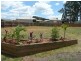 Glass House Mountains QLD 4518
