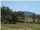 Glass House Mountains QLD 4518