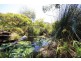 Glass House Mountains QLD 4518