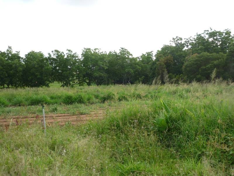 Glass House Mountains QLD 4518
