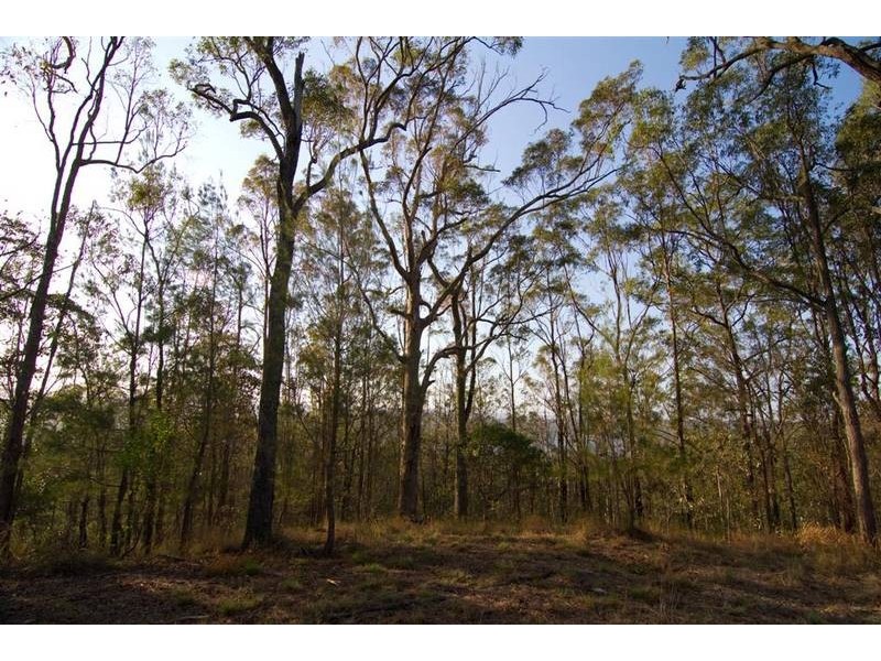 2314 Steve Irwin Way, Landsborough QLD 4550