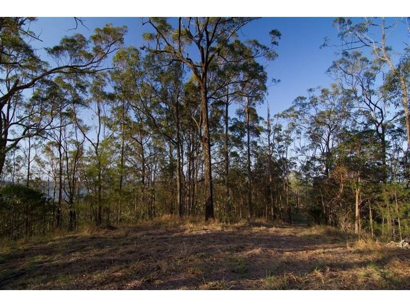 2314 Steve Irwin Way, Landsborough QLD 4550