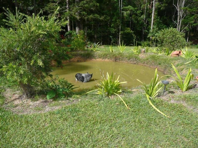 Peachester QLD 4519
