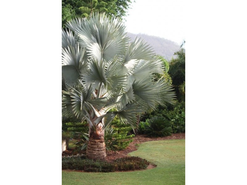 107 Coonowrin Road, Glass House Mountains QLD 4518