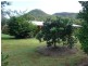 Beerwah QLD 4519
