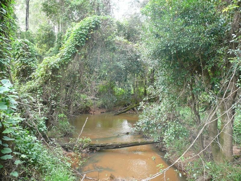 Glass House Mountains QLD 4518