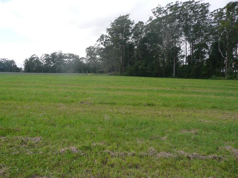 Glass House Mountains QLD 4518