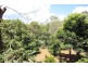 Crohamhurst QLD 4519
