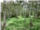 Beachmere QLD 4510