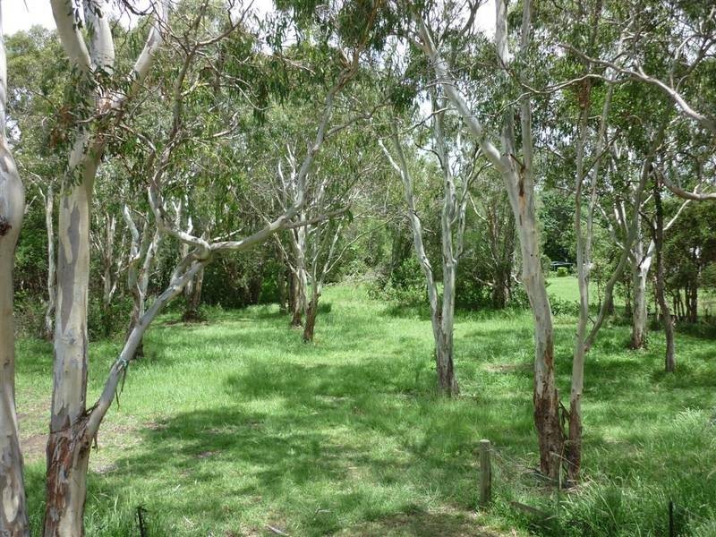 Beachmere QLD 4510
