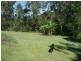 Glass House Mountains QLD 4518