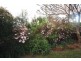 3 Poole Road, Glass House Mountains QLD 4518
