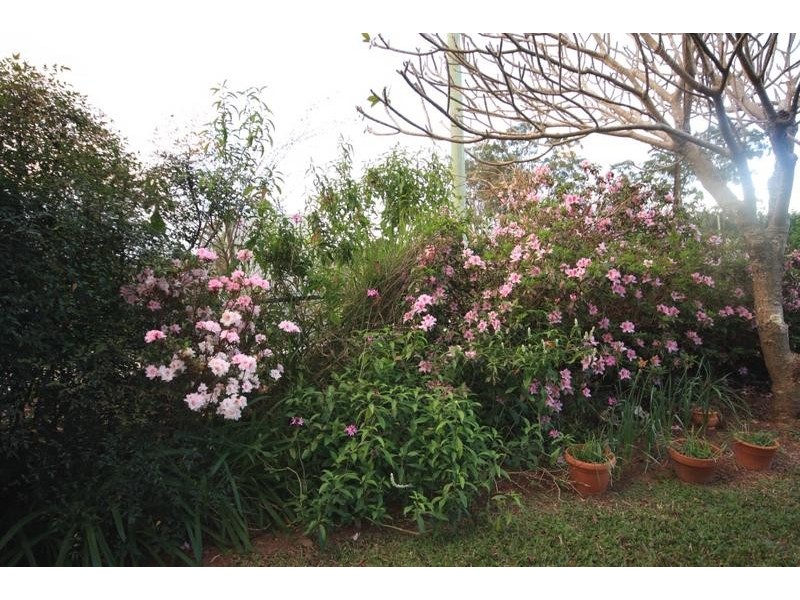 3 Poole Road, Glass House Mountains QLD 4518