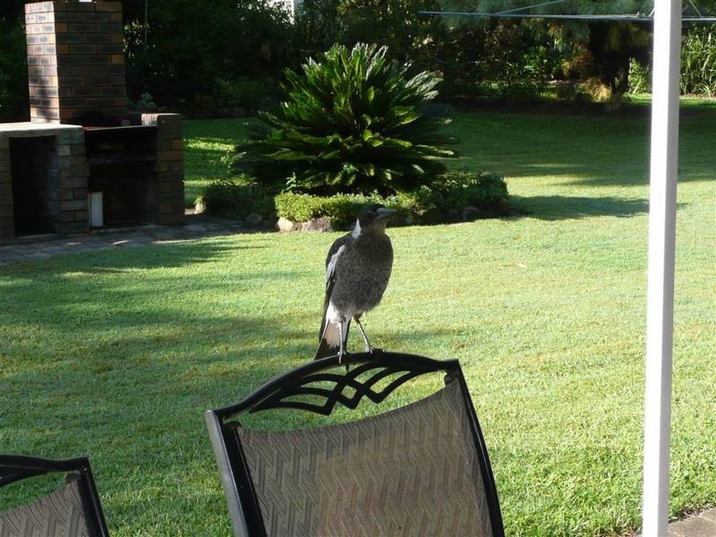 Beerwah QLD 4519
