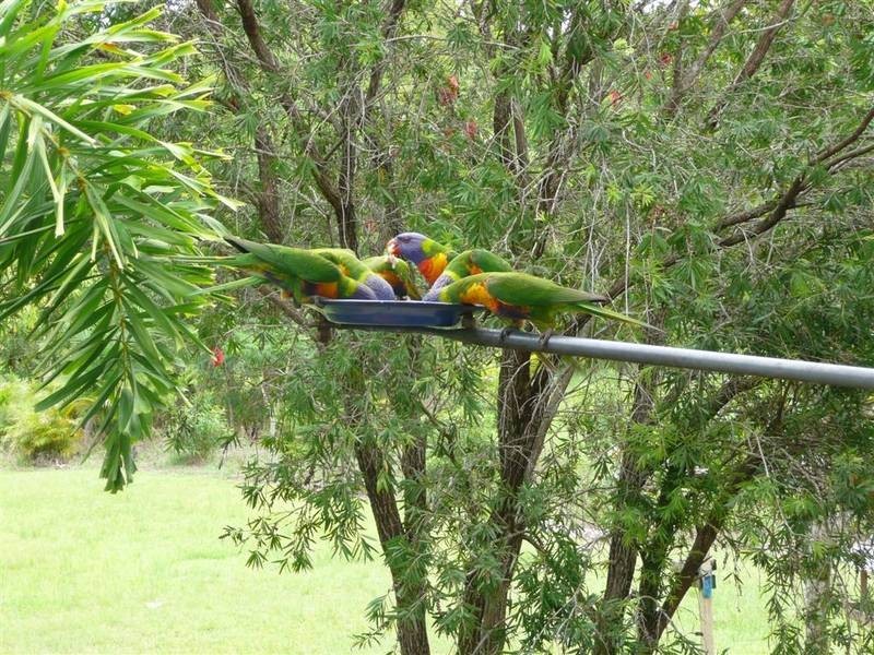 Peachester QLD 4519
