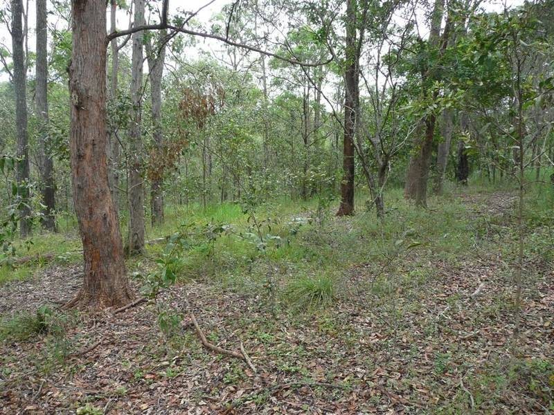 Glass House Mountains QLD 4518