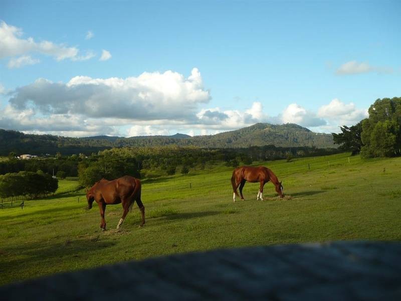 182 Yeates Road, Beerwah QLD 4519