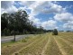 Beerwah QLD 4519