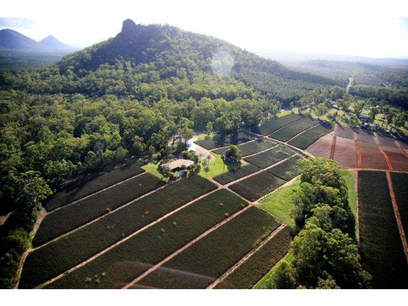 276 Barrs Road, Glass House Mountains QLD 4518