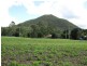 Beerwah QLD 4519