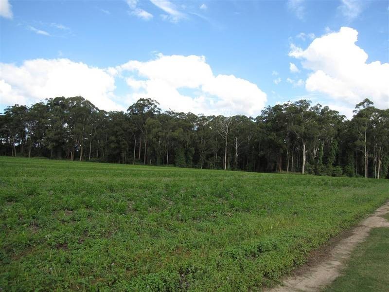 Beerwah QLD 4519