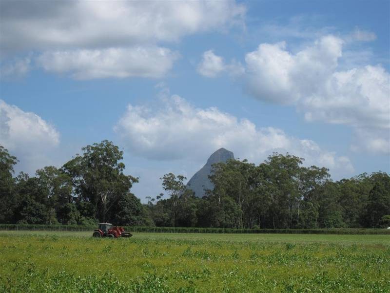 Beerwah QLD 4519