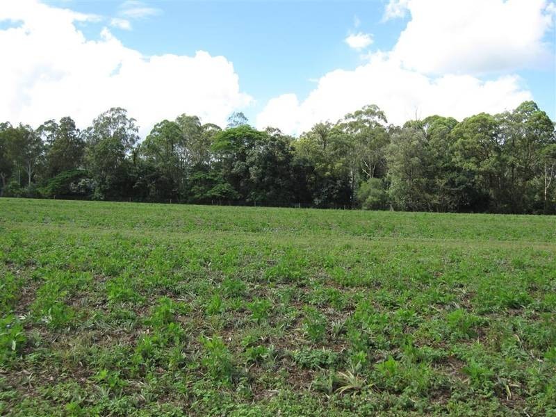 Beerwah QLD 4519