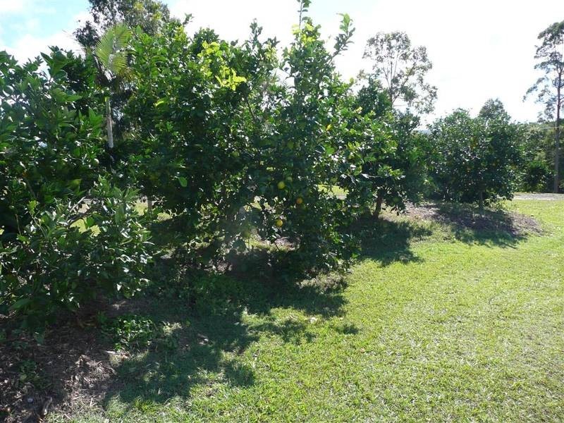 Peachester QLD 4519