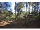 Beerwah QLD 4519