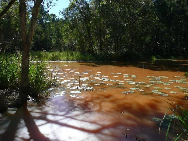 Glass House Mountains QLD 4518