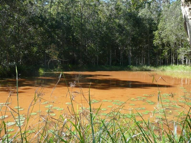 Glass House Mountains QLD 4518