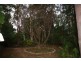 Beerwah QLD 4519