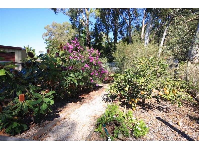 Glass House Mountains QLD 4518