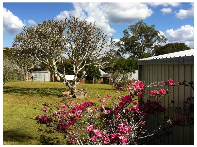 6 Hempstock St, Glass House Mountains QLD 4518